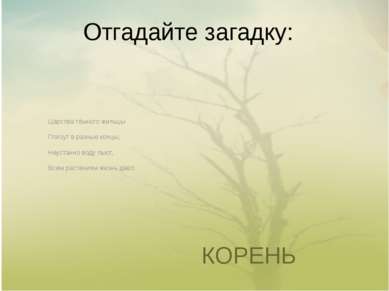 Отгадайте загадку: КОРЕНЬ Царства тёмного жильцы Ползут в разные концы, Неуст...