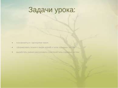 Задачи урока: познакомиться с функциями корня; сформировать знания о видах ко...