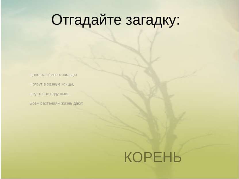 Отгадайте загадку: КОРЕНЬ Царства тёмного жильцы Ползут в разные концы, Неуст...