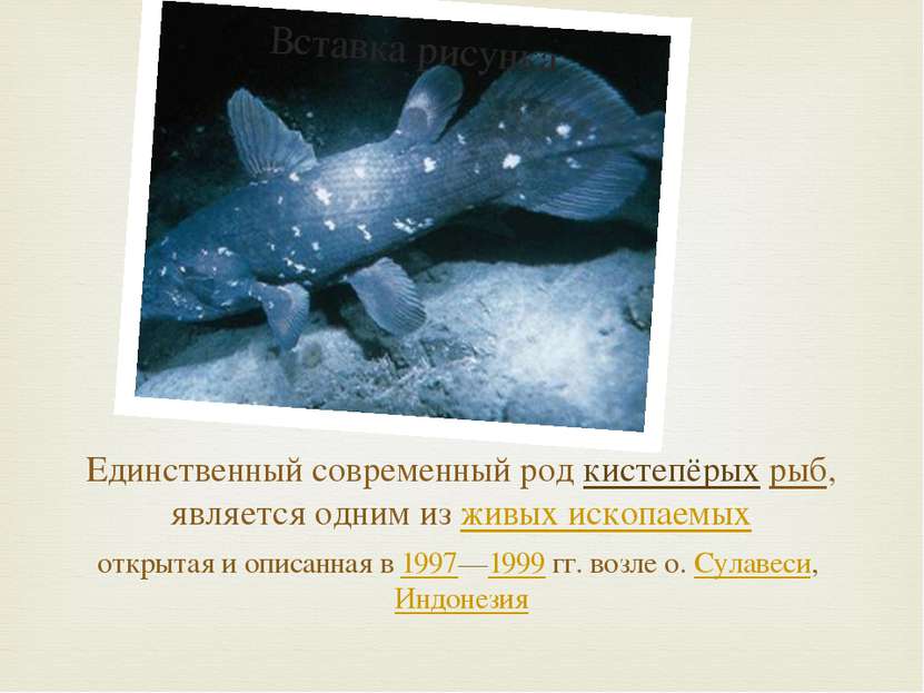 Единственный современный род кистепёрых рыб, является одним из живых ископаем...