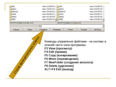 Команды управления файлами - на кнопках в нижней части окна программы: F3 Vie...