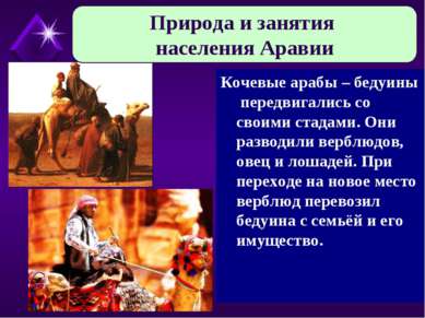 Кочевые арабы – бедуины передвигались со своими стадами. Они разводили верблю...