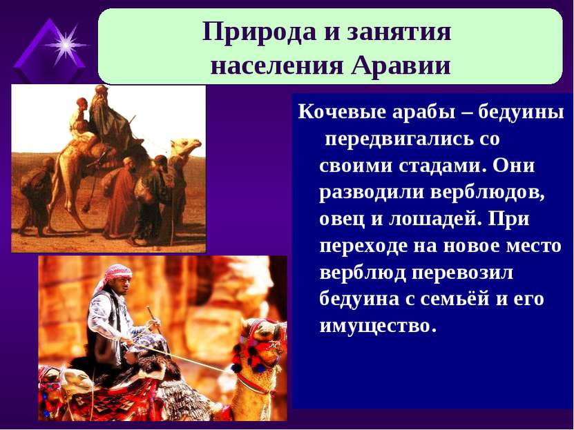 Кочевые арабы – бедуины передвигались со своими стадами. Они разводили верблю...