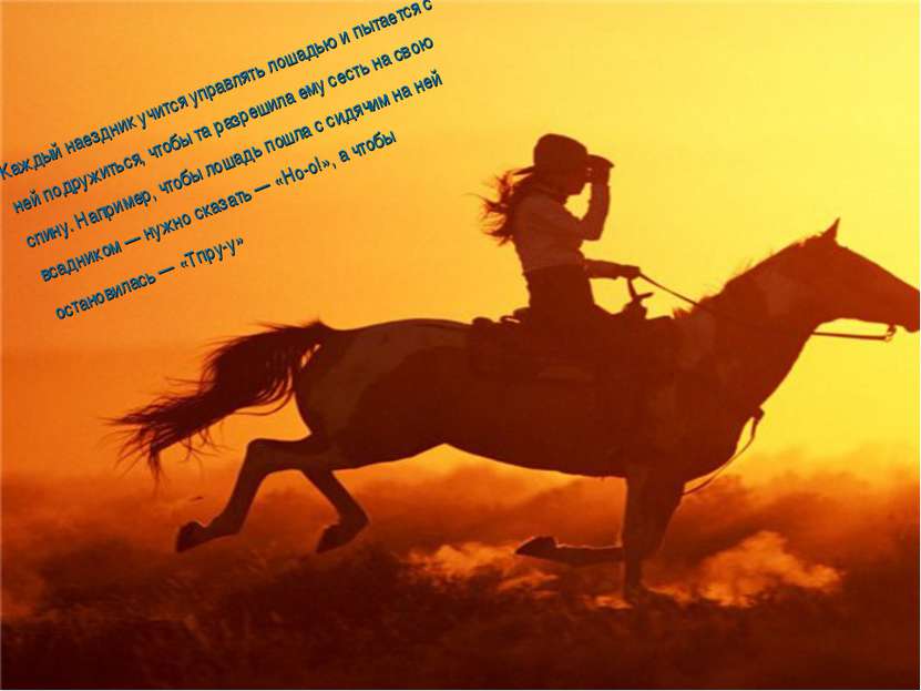 Каждый наездник учится управлять лошадью и пытается с ней подружиться, чтобы ...