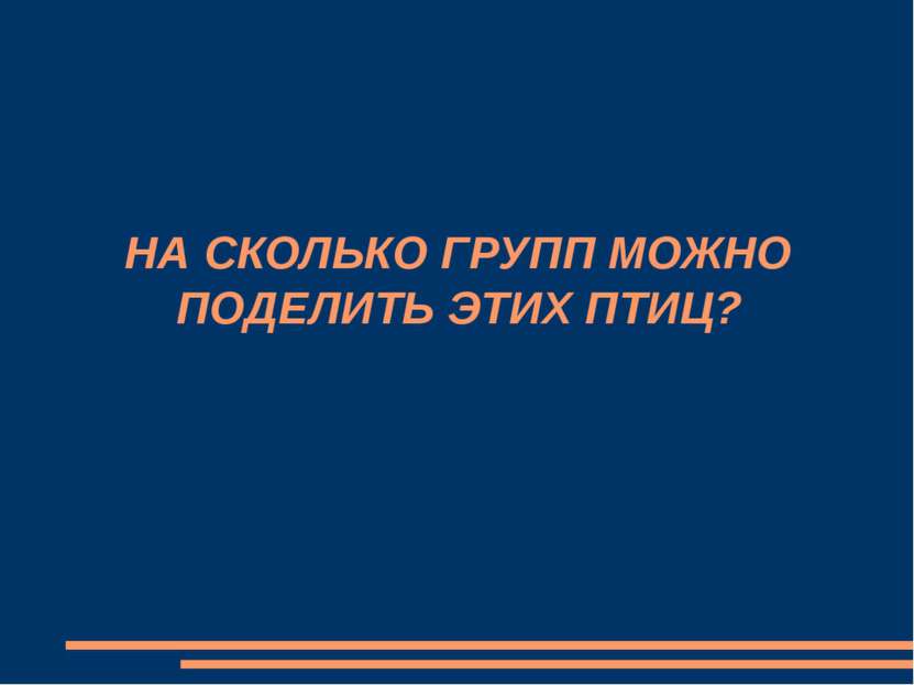 НА СКОЛЬКО ГРУПП МОЖНО ПОДЕЛИТЬ ЭТИХ ПТИЦ?