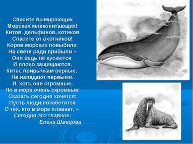 Спасите вымирающих Морских млекопитающих! Китов, дельфинов, котиков Спасите о...