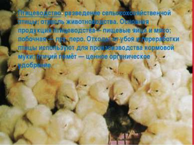 Птицеводство- разведение сельскохозяйственной птицы; отрасль животноводства. ...