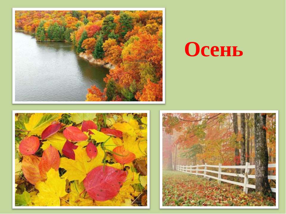 Изменения природы осенью 5 класс. Осень сезонные изменения. Осенние явления природы. Сезонные явления осени. Сезонные изменения в природе осень.