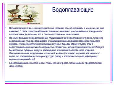 Водоплавающие Водоплавающие птицы, как показывает само название, способны пла...