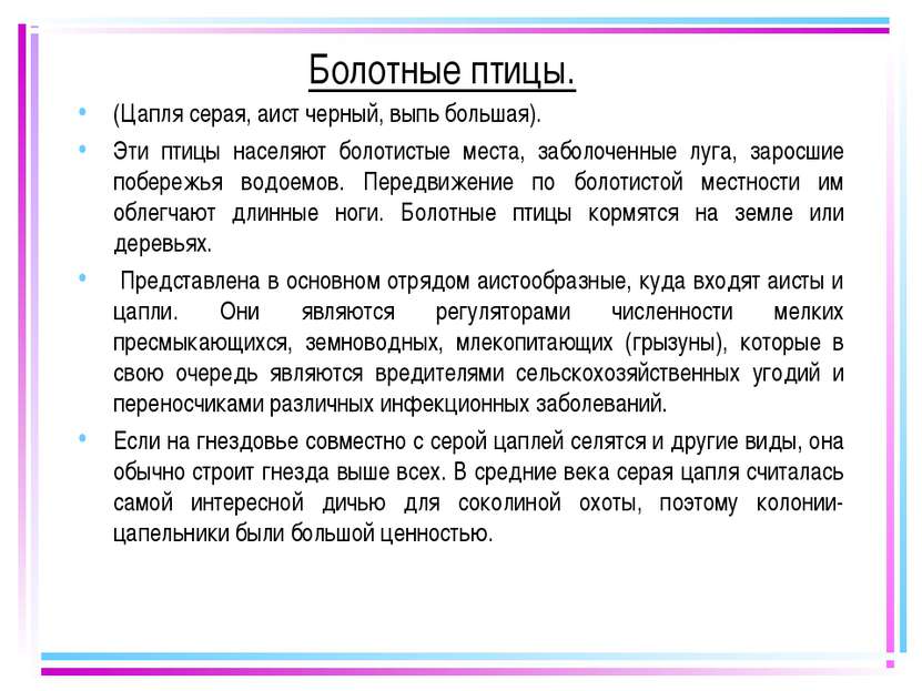 Болотные птицы. (Цапля серая, аист черный, выпь большая). Эти птицы населяют ...