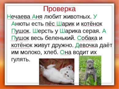 Проверка Нечаева Аня любит животных. У Анюты есть пёс Шарик и котёнок Пушок. ...