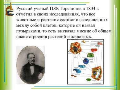 Русский ученый П.Ф. Горянинов в 1834 г. отметил в своих исследованиях, что вс...