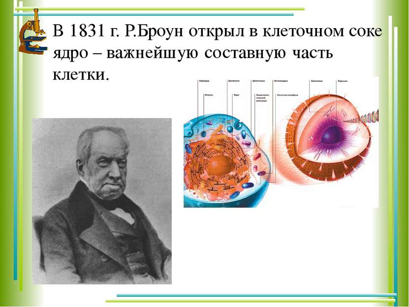 В 1831 г. Р.Броун открыл в клеточном соке ядро – важнейшую составную часть кл...