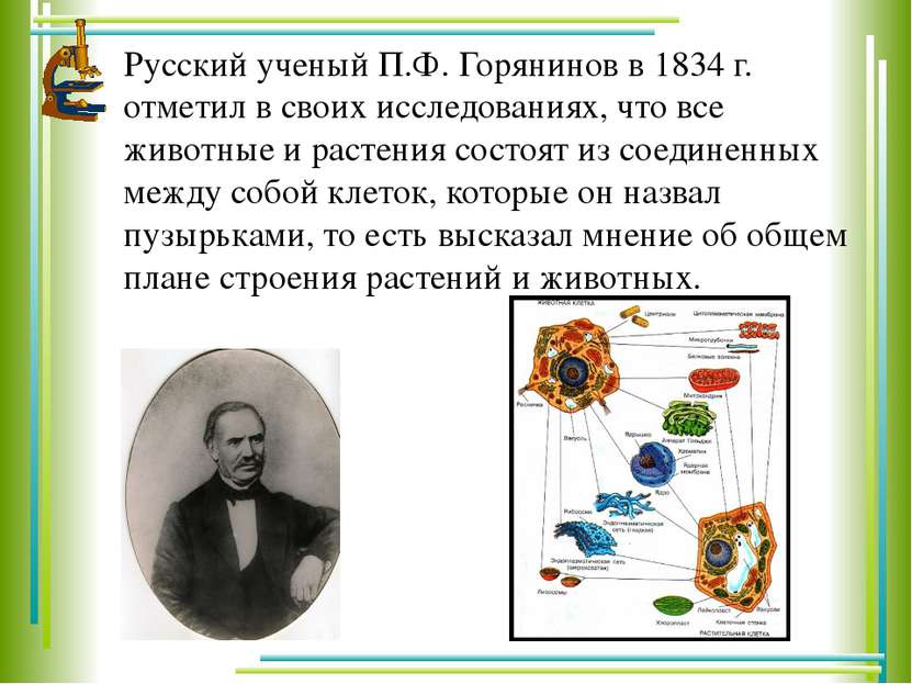 Русский ученый П.Ф. Горянинов в 1834 г. отметил в своих исследованиях, что вс...