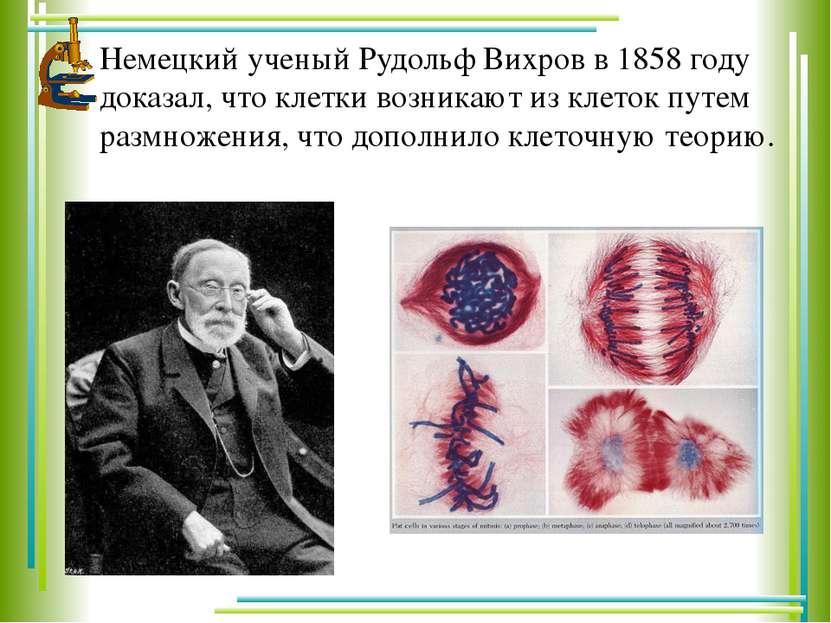 Немецкий ученый Рудольф Вихров в 1858 году доказал, что клетки возникают из к...
