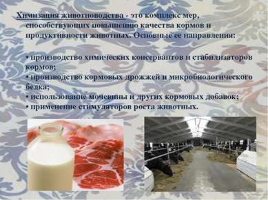 Химизация животноводства - это комплекс мер, способствующих повышению качеств...