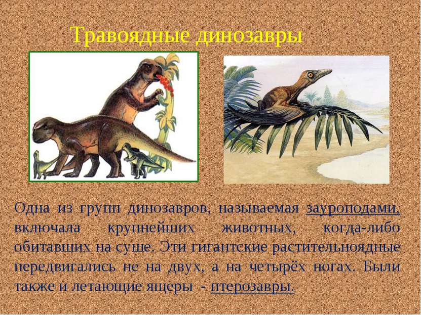 Травоядные динозавры Одна из групп динозавров, называемая зауроподами, включа...