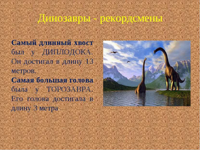 Динозавры - рекордсмены Самый длинный хвост был у ДИПЛОДОКА. Он достигал в дл...