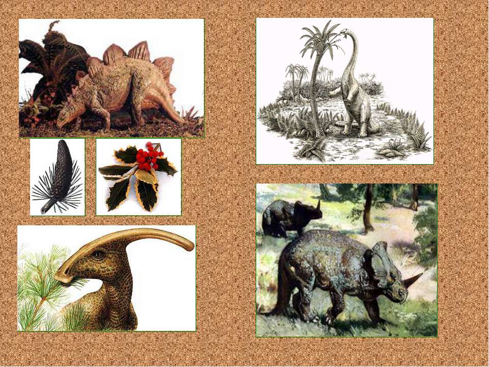 Когда жили динозавры 1 класс рабочий лист. Динозавры 1 класс. Окружающий мир динозавры. Травоядные динозавры. Динозавры 1 класс окружающий мир.