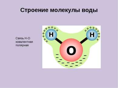 Строение молекулы воды Связь Н-О ковалентная полярная