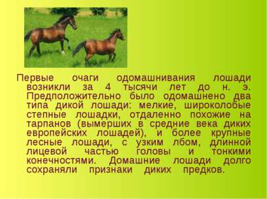Первые очаги одомашнивания лошади возникли за 4 тысячи лет до н. э. Предполож...