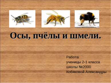 Осы, пчёлы и шмели. Работа ученицы 2-1 класса школы №2000 Кобяковой Александры