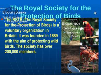 The Royal Society for the Protection of Birds The RSTB (The Royal Society for...