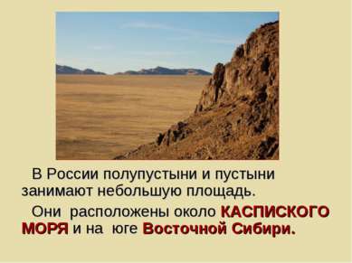 В России полупустыни и пустыни занимают небольшую площадь. Они расположены ок...