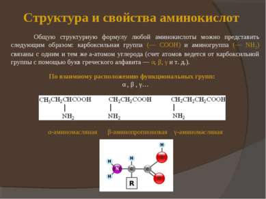 Структура и свойства аминокислот Общую структурную формулу любой аминокислоты...