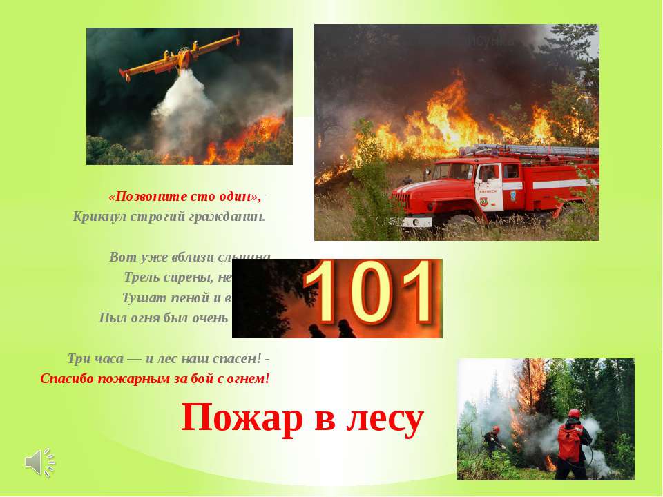 Пожары стих текст. Презентация на тему пожар в лесу. Пожарная безопасность в лесу. Стихи про Лесные пожары. Стихотворение пожар в лесу.