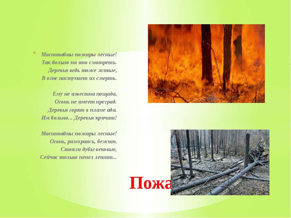 Пожары стих текст. Стихи про пожар в лесу. Стих про Лесной пожар для детей. Стихи на тему пожар в лесу. Стихотворение про огонь в лесу.