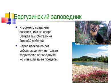 Баргузинский заповедник К моменту создания заповедника на озере Байкал там об...