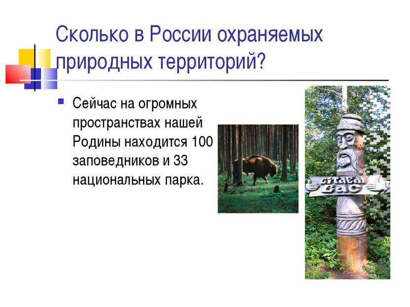 Сколько в России охраняемых природных территорий? Сейчас на огромных простран...