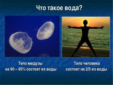 Что такое вода? Тело медузы на 90 – 95% состоит из воды Тело человека состоит...