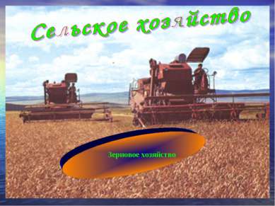 Зерновое хозяйство