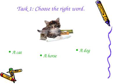 A horse A dog A cat Task 1: Choose the right word.