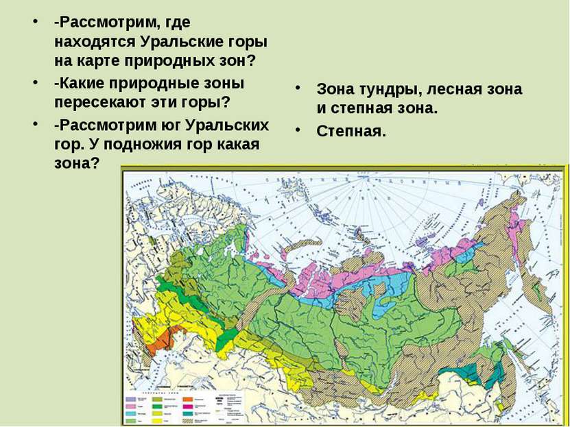 -Рассмотрим, где находятся Уральские горы на карте природных зон? -Какие прир...