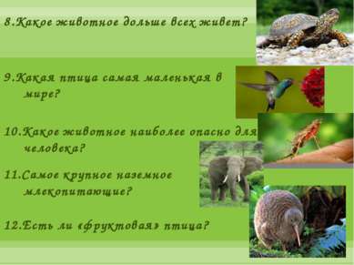 8.Какое животное дольше всех живет? 9.Какая птица самая маленькая в мире? 10....