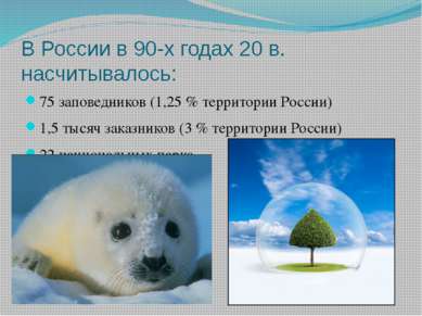 В России в 90-х годах 20 в. насчитывалось: 75 заповедников (1,25 % территории...
