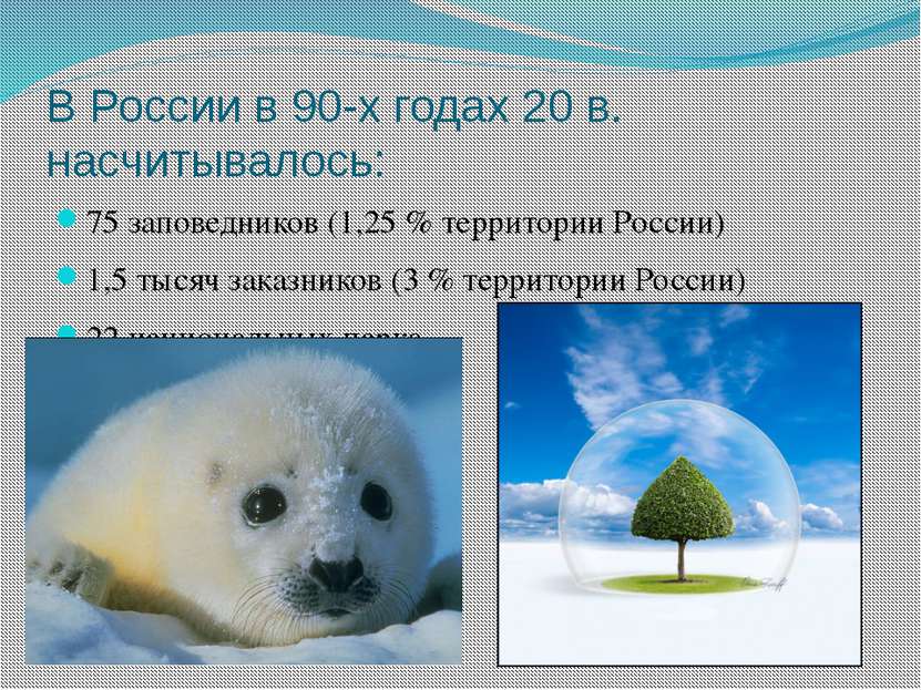 В России в 90-х годах 20 в. насчитывалось: 75 заповедников (1,25 % территории...