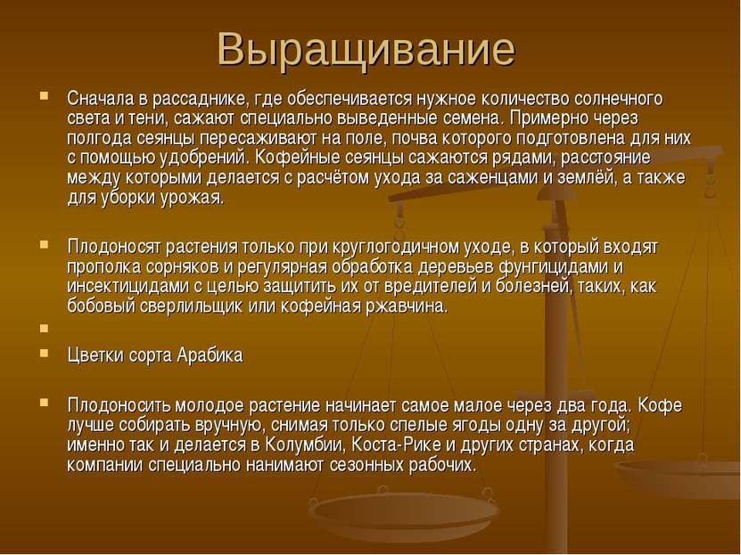 Выращивание Сначала в рассаднике, где обеспечивается нужное количество солнеч...