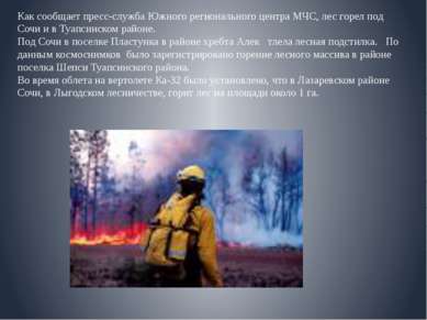 Как сообщает пресс-служба Южного регионального центра МЧС, лес горел под Сочи...