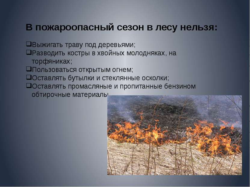 В пожароопасный сезон в лесу нельзя: Выжигать траву под деревьями; Разводить ...