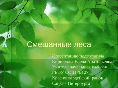 Смешанные леса Презентацию подготовила Кириллова Елена Анатольевна Учитель на...