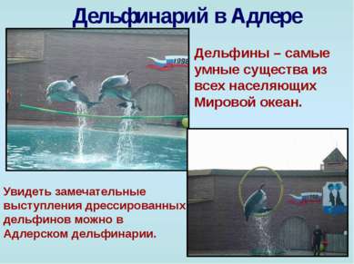 Дельфинарий в Адлере Дельфины – самые умные существа из всех населяющих Миров...