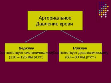 Артериальное Давление крови Верхнее Соответствует систоличекскому (110 – 125 ...