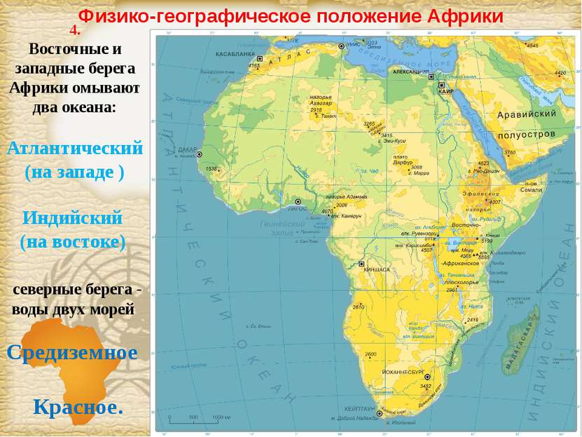 Физико-географическое положение Африки 4. Восточные и западные берега Африки ...