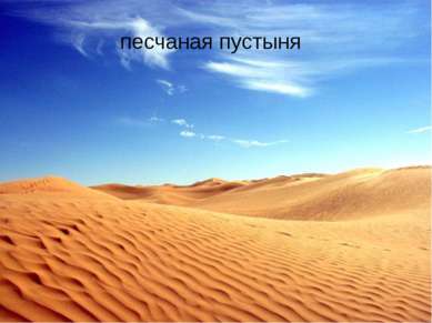 Песчаная пустыня песчаная пустыня