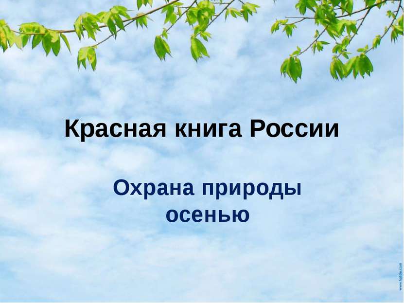 Красная книга России Охрана природы осенью