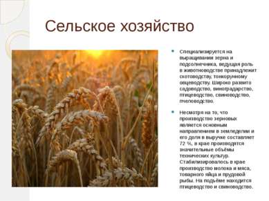 Сельское хозяйство Специализируется на выращивании зерна и подсолнечника, вед...
